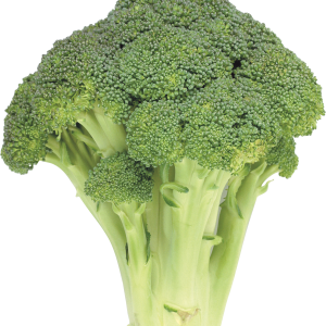 Broccoli PNG