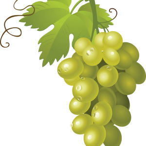 Grape PNG image