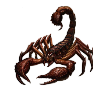 Scorpion PNG