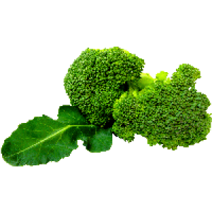 Broccoli PNG