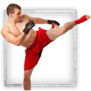 Mixed martial arts PNG, MMA PNG