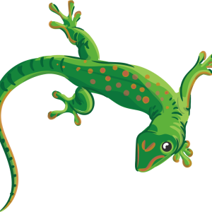 Gecko PNG