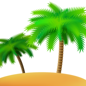 Palm tree PNG