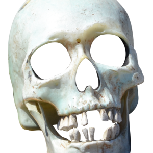 Skull PNG