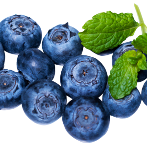 Blueberries PNG