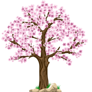 tree PNG