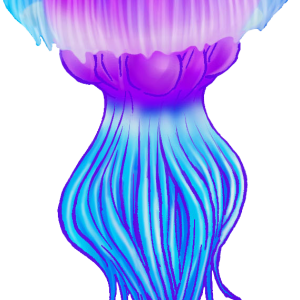 Jellyfish PNG