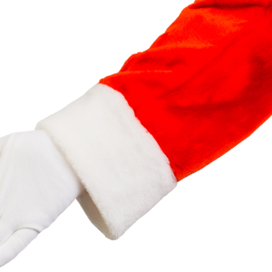 Santa Claus PNG hand