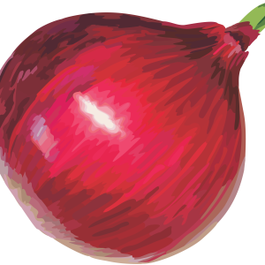 Red onion PNG image