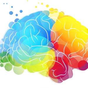 Brain PNG