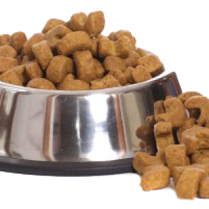 Dog food PNG