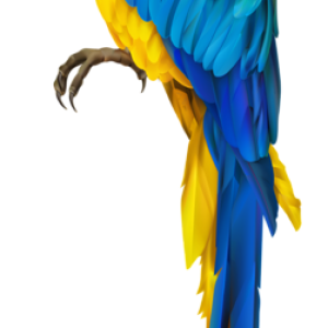Parrot PNG image