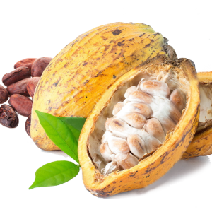 Cacao PNG