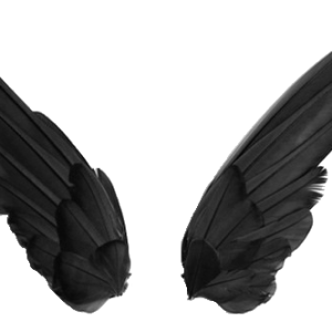 Wings PNG