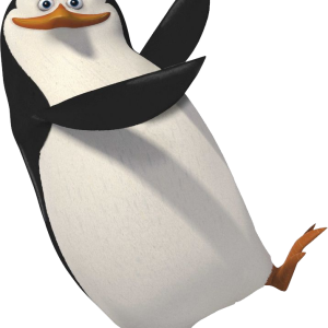 Madagascar penguins PNG