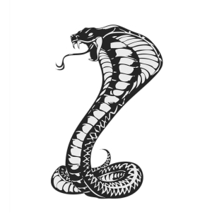Cobra PNG