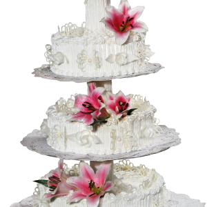 Wedding cake PNG