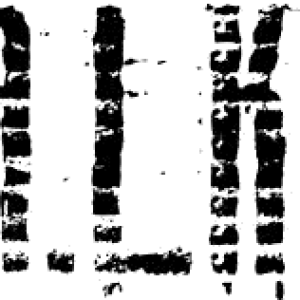 S.T.A.L.K.E.R. logo PNG