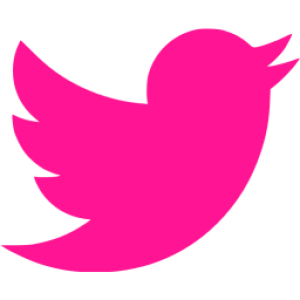 Twitter logo PNG