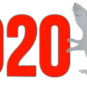 2020 Year PNG