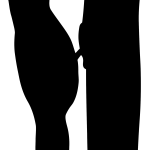 Woodpecker PNG