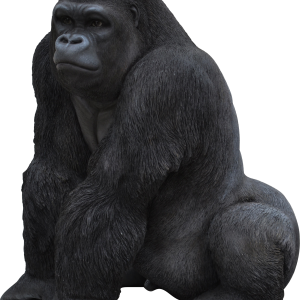 Gorilla PNG