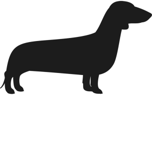 Dachshund PNG