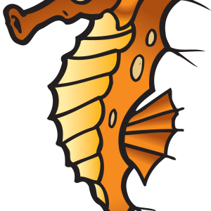 Seahorse PNG