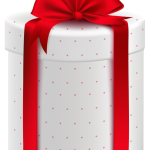 Gift box PNG