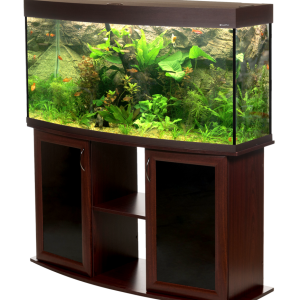 Aquarium PNG