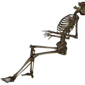 Skeleton PNG image