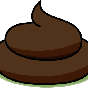 Poop icon PNG