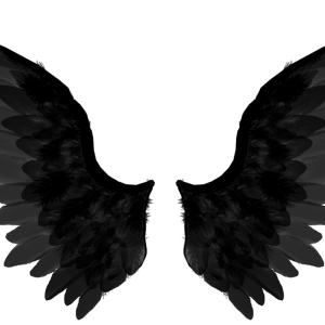 Wings PNG