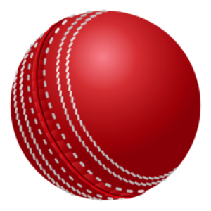 Cricket ball PNG