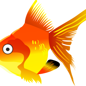 Goldfish PNG
