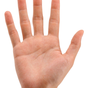 Hands PNG, hand image free