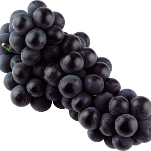 Black grape PNG image
