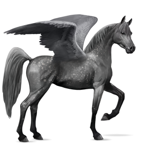 Pegasus PNG