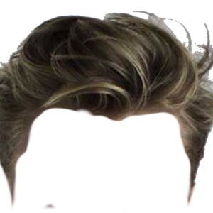 Hair wig PNG
