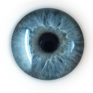Eye PNG