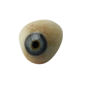 Eye PNG image