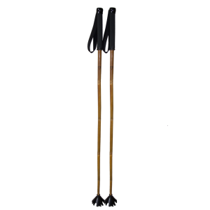 Trekking pole PNG