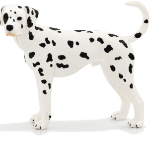Dalmatian PNG