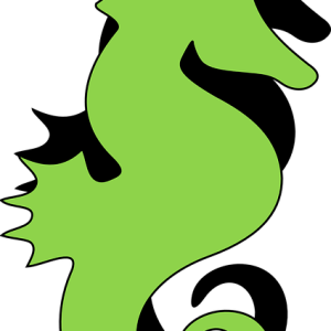 Seahorse PNG