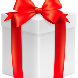 Gift box PNG