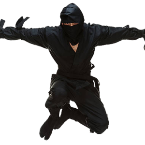 Ninja PNG