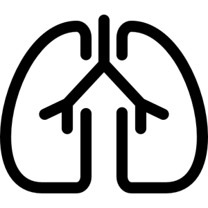 Lungs PNG