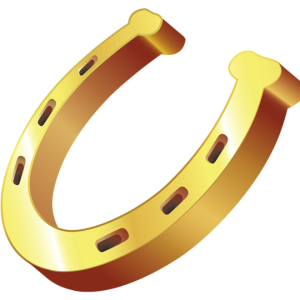 Horseshoe PNG