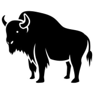 Bison PNG