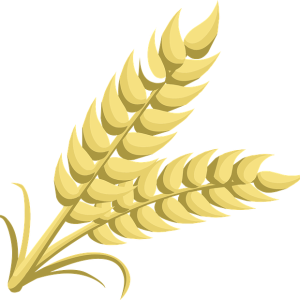 Wheat PNG